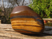 Polished Golden Tigers Eye Free Forms x 5 From Prieska, Northern Cape