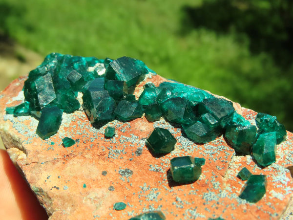 Natural Bright Shiny Emerald Green With Blue Shattuckite On Dolomite Dioptase On 3 Sides x 1 From Tantara, Congo - TopRock