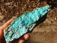 Natural Drusy Coated Chrysocolla & Malachite Dolomite Specimens x 3 From Likasi, Congo - Toprock Gemstones and Minerals 