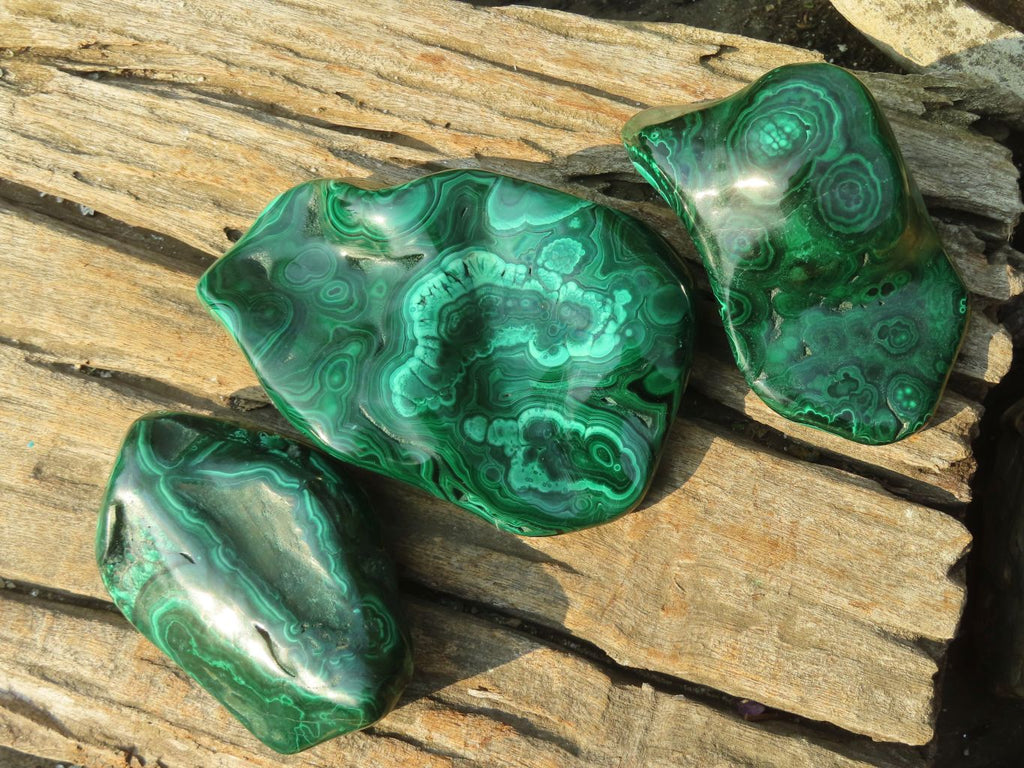Polished Malachite Free Forms x 3 From Kolwezi, Congo - Toprock Gemstones and Minerals 