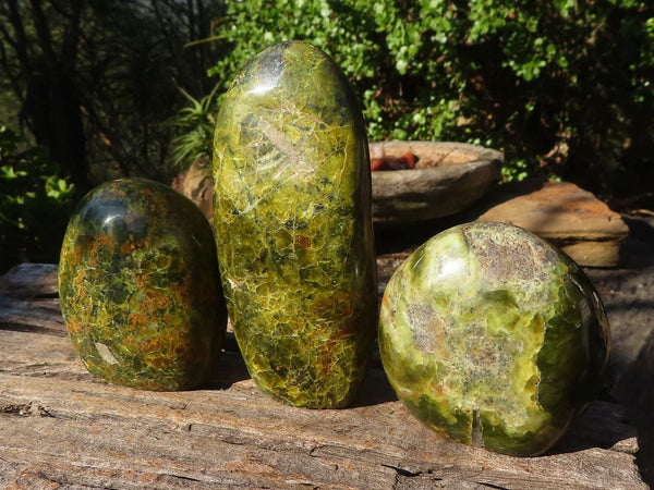 Polished Green Opal Standing Free Forms  x 3 From Antsirabe, Madagascar