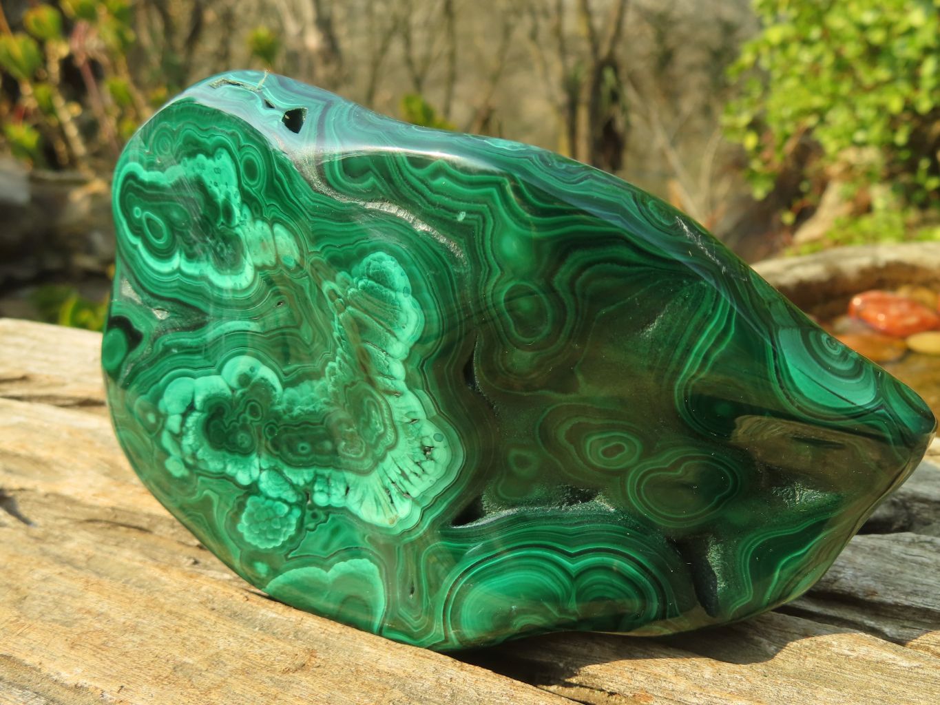 Polished Malachite Free Forms x 3 From Kolwezi, Congo - Toprock Gemstones and Minerals 