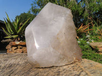 Polished On Facets and Natural Extra Large Elestial Pentium Quartz Crystal x 1 From Mozambique - Toprock Gemstones and Minerals 