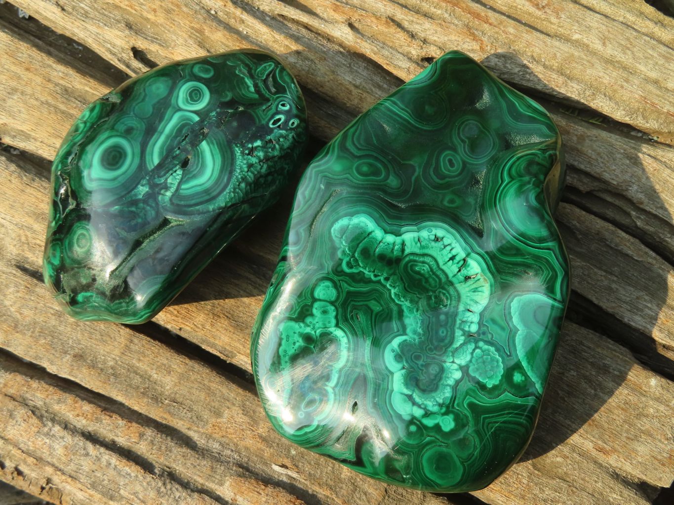 Polished Malachite Free Forms x 3 From Kolwezi, Congo - Toprock Gemstones and Minerals 