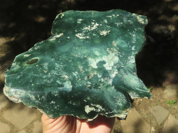 Polished Emerald Mtorolite / Chrome Chrysoprase Free Form x 1 From Zimbabwe - TopRock