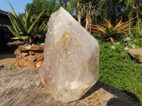 Polished On Facets and Natural Extra Large Elestial Pentium Quartz Crystal x 1 From Mozambique - Toprock Gemstones and Minerals 