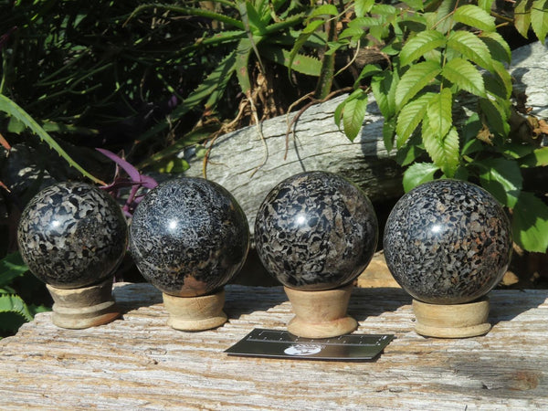 Polished Black Tourmaline In Matrix Spheres x 4 From Madagascar - TopRock