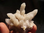 Natural White Spirit Quartz Clusters x 24 From Boekenhouthoek, South Africa - Toprock Gemstones and Minerals 