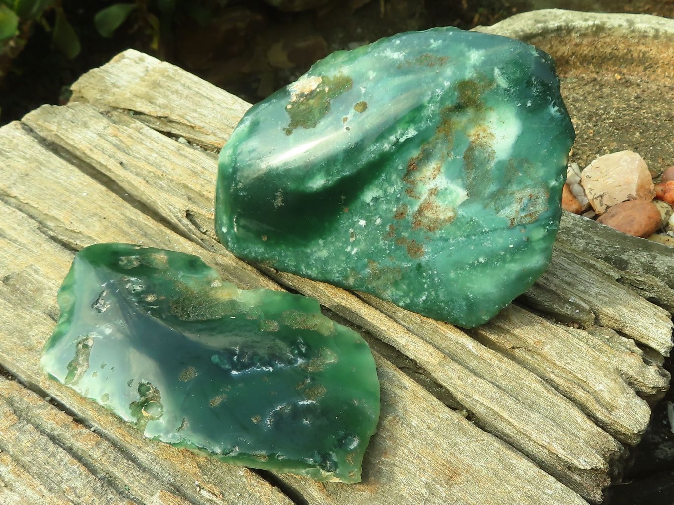 Polished One Side Polished Emerald Mtorolite Plates  x 2 From Mutorashanga, Zimbabwe - Toprock Gemstones and Minerals 
