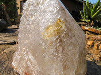 Polished On Facets and Natural Extra Large Elestial Pentium Quartz Crystal x 1 From Mozambique - Toprock Gemstones and Minerals 