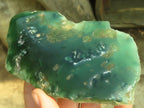 Polished One Side Polished Emerald Mtorolite Plates  x 2 From Mutorashanga, Zimbabwe - Toprock Gemstones and Minerals 
