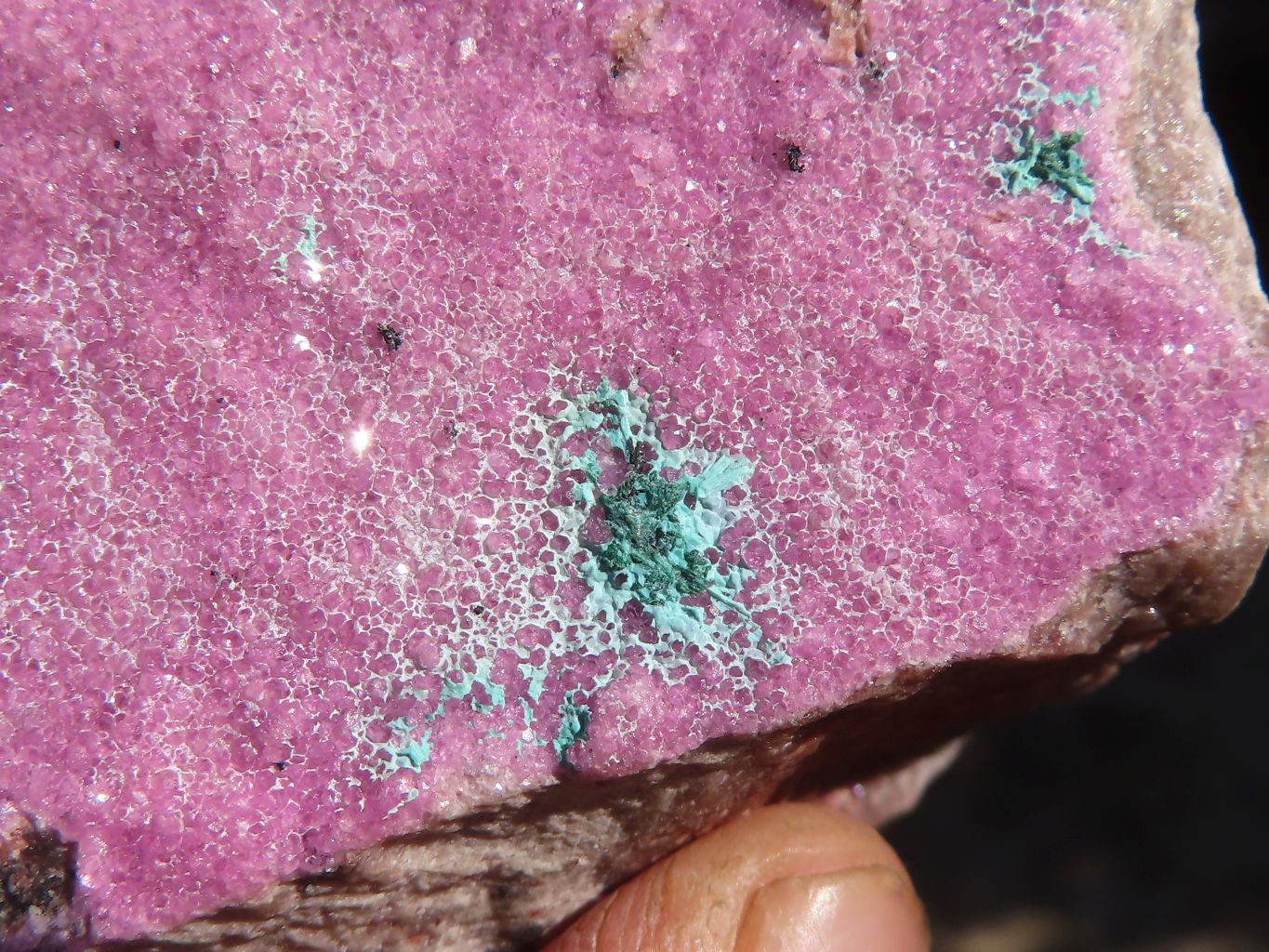 Natural Pink Salrose Cobaltion Dolomite Specimens  x 5 From Kakanda, Congo - Toprock Gemstones and Minerals 