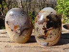 Polished Dendritic Agate Standing Free Forms  x 2 From Madagascar - Toprock Gemstones and Minerals 