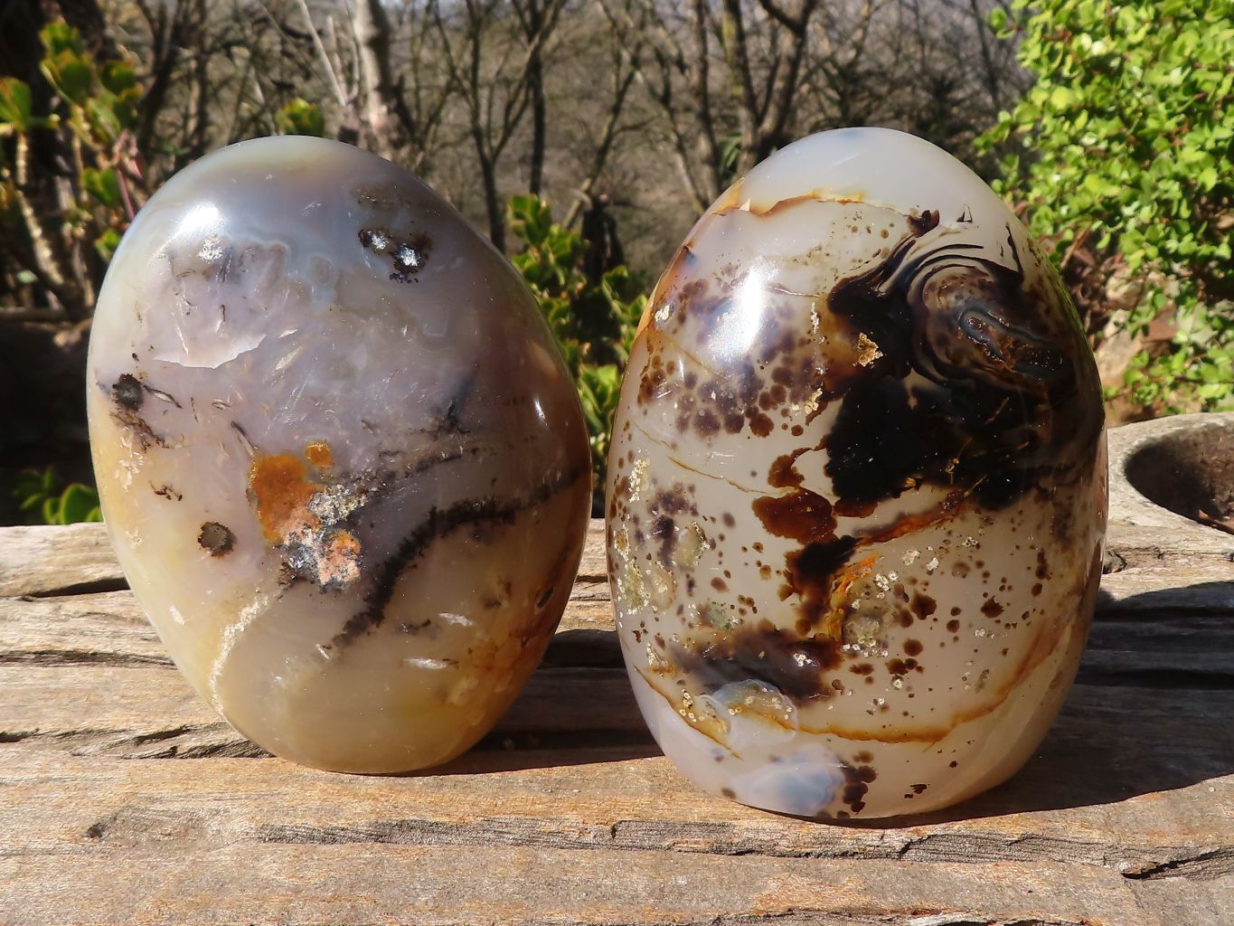 Polished Dendritic Agate Standing Free Forms  x 2 From Madagascar - Toprock Gemstones and Minerals 