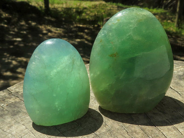 Polished Emerald Fluorite Standing Free Forms  x 12 From Madagascar - TopRock