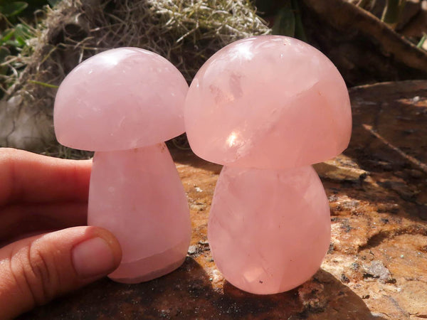 Polished Gemmy Pink Rose Quartz Mushrooms  x 6 From Madagascar - TopRock