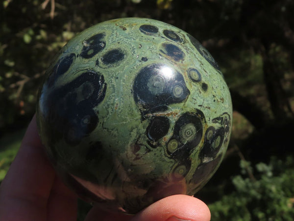 Polished Stromatolite / Kambaba Jasper Spheres x 3 From Madagascar - TopRock