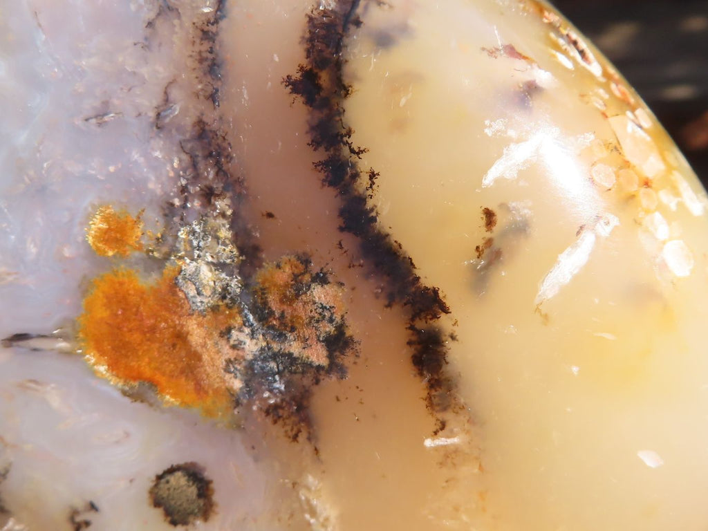 Polished Dendritic Agate Standing Free Forms  x 2 From Madagascar - Toprock Gemstones and Minerals 