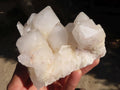 Natural Cathedral Window Quartz Clusters  x 2 From Madagascar - Toprock Gemstones and Minerals 