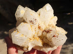 Natural Cathedral Window Quartz Clusters  x 2 From Madagascar - Toprock Gemstones and Minerals 