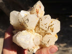 Natural Cathedral Window Quartz Clusters  x 2 From Madagascar - Toprock Gemstones and Minerals 