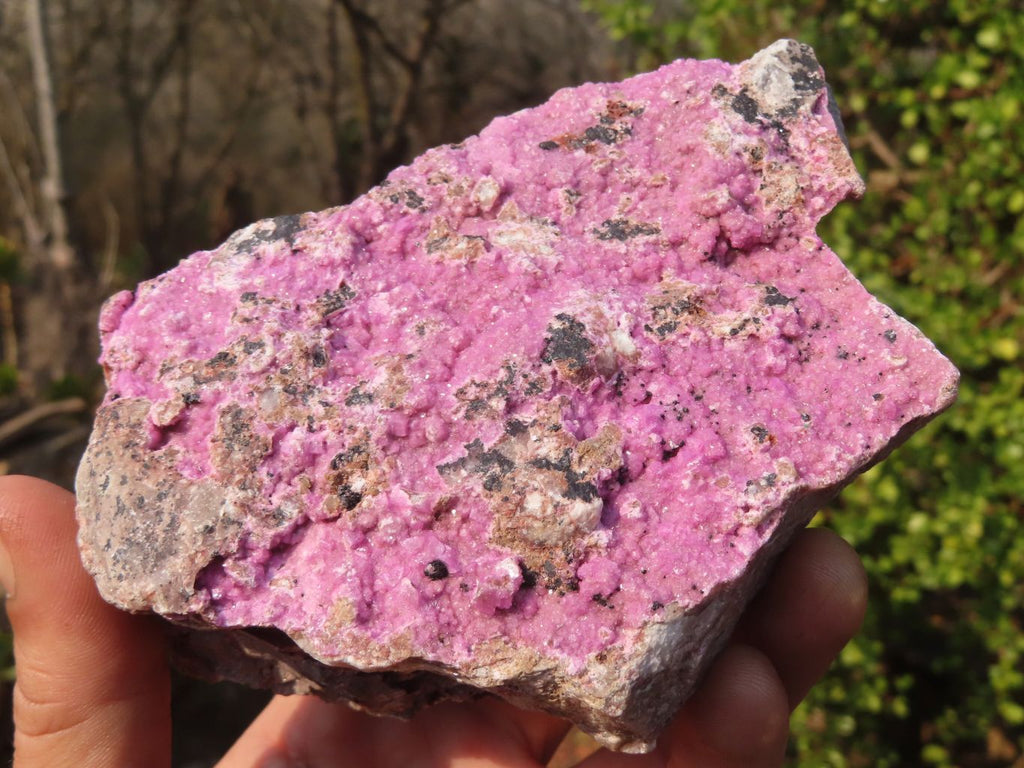 Natural Pink Salrose Cobaltion Dolomite Specimens  x 3 From Kakanda, Congo - Toprock Gemstones and Minerals 