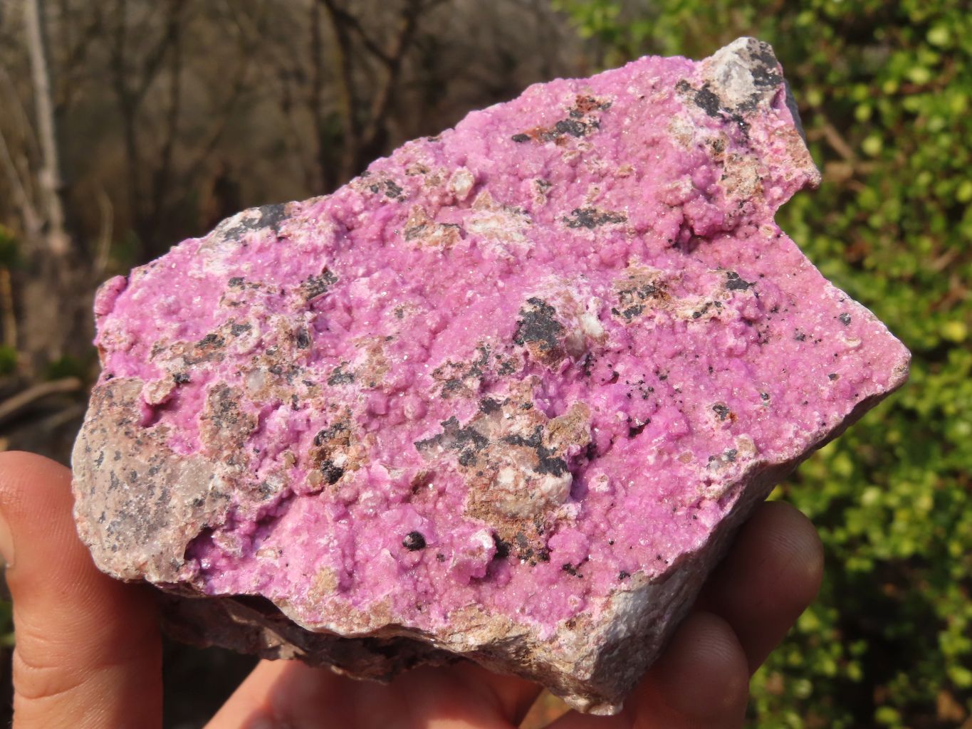 Natural Pink Salrose Cobaltion Dolomite Specimens  x 3 From Kakanda, Congo - Toprock Gemstones and Minerals 