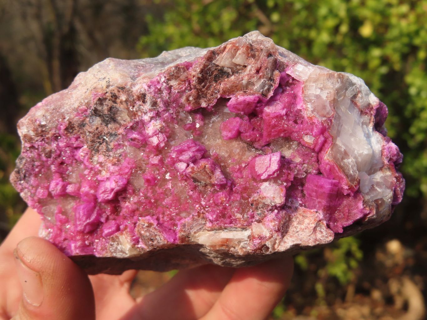 Natural Pink Salrose Cobaltion Dolomite Specimens  x 3 From Kakanda, Congo - Toprock Gemstones and Minerals 