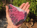 Natural Pink Salrose Cobaltion Dolomite Specimens  x 3 From Kakanda, Congo - Toprock Gemstones and Minerals 