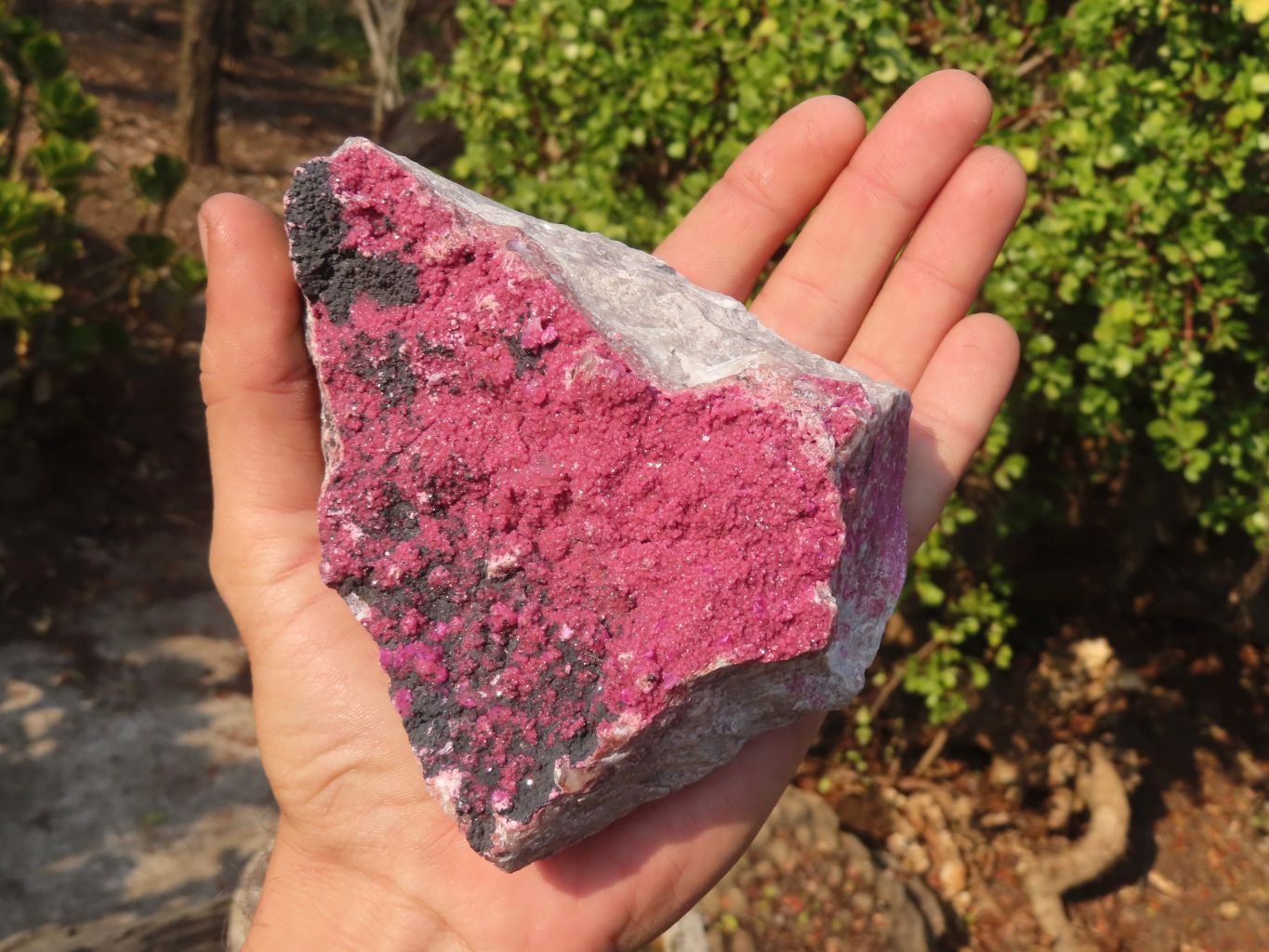 Natural Pink Salrose Cobaltion Dolomite Specimens  x 3 From Kakanda, Congo - Toprock Gemstones and Minerals 