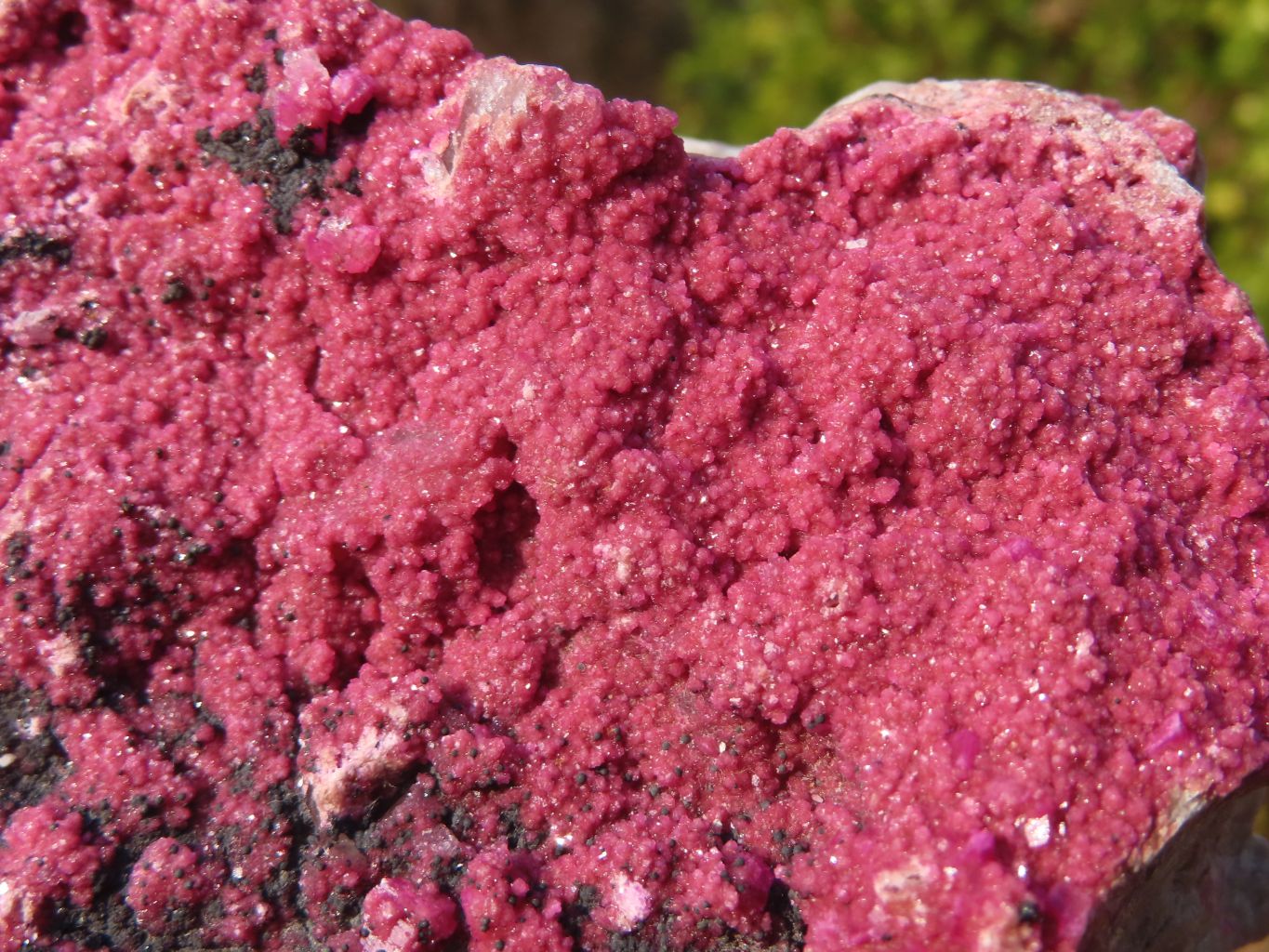 Natural Pink Salrose Cobaltion Dolomite Specimens  x 3 From Kakanda, Congo - Toprock Gemstones and Minerals 