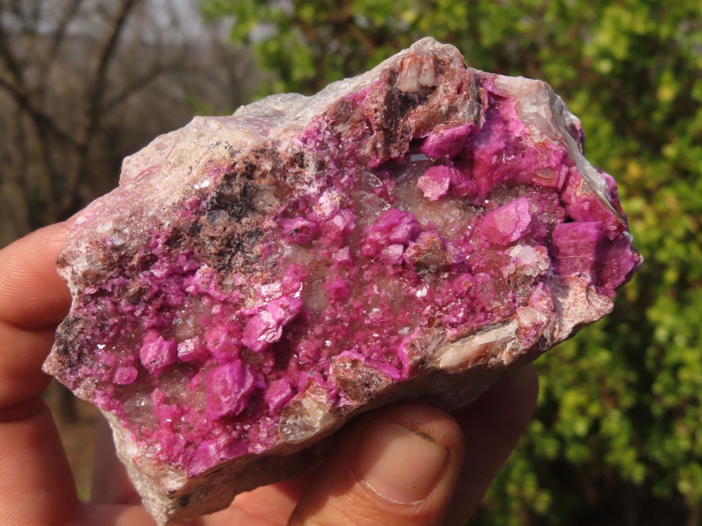 Natural Pink Salrose Cobaltion Dolomite Specimens  x 3 From Kakanda, Congo - Toprock Gemstones and Minerals 