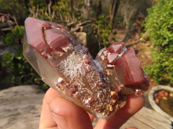 Natural Red Hematoid Quartz Specimens x 12 From Karoi, Zimbabwe - Toprock Gemstones and Minerals 