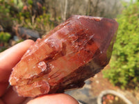 Natural Red Hematoid Quartz Specimens x 12 From Karoi, Zimbabwe - Toprock Gemstones and Minerals 