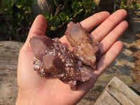 Natural Red Hematoid Quartz Specimens x 12 From Karoi, Zimbabwe - Toprock Gemstones and Minerals 