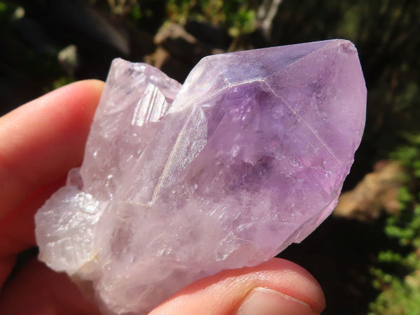 Natural Highly Selected Jacaranda Amethyst Crystals  x 24 From Zambia