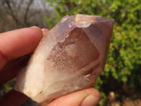 Natural Red Hematoid Quartz Specimens x 12 From Karoi, Zimbabwe - Toprock Gemstones and Minerals 