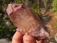 Natural Red Hematoid Quartz Specimens x 12 From Karoi, Zimbabwe - Toprock Gemstones and Minerals 