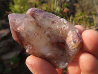 Natural Red Hematoid Quartz Specimens x 12 From Karoi, Zimbabwe - Toprock Gemstones and Minerals 