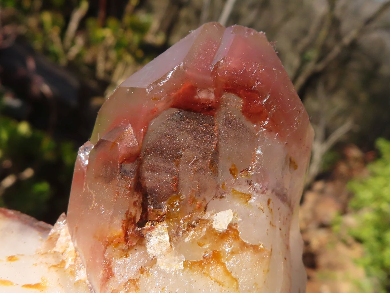 Natural Red Phantom Hematoid Quartz Clusters x 6 From Karoi, Zimbabwe - Toprock Gemstones and Minerals 