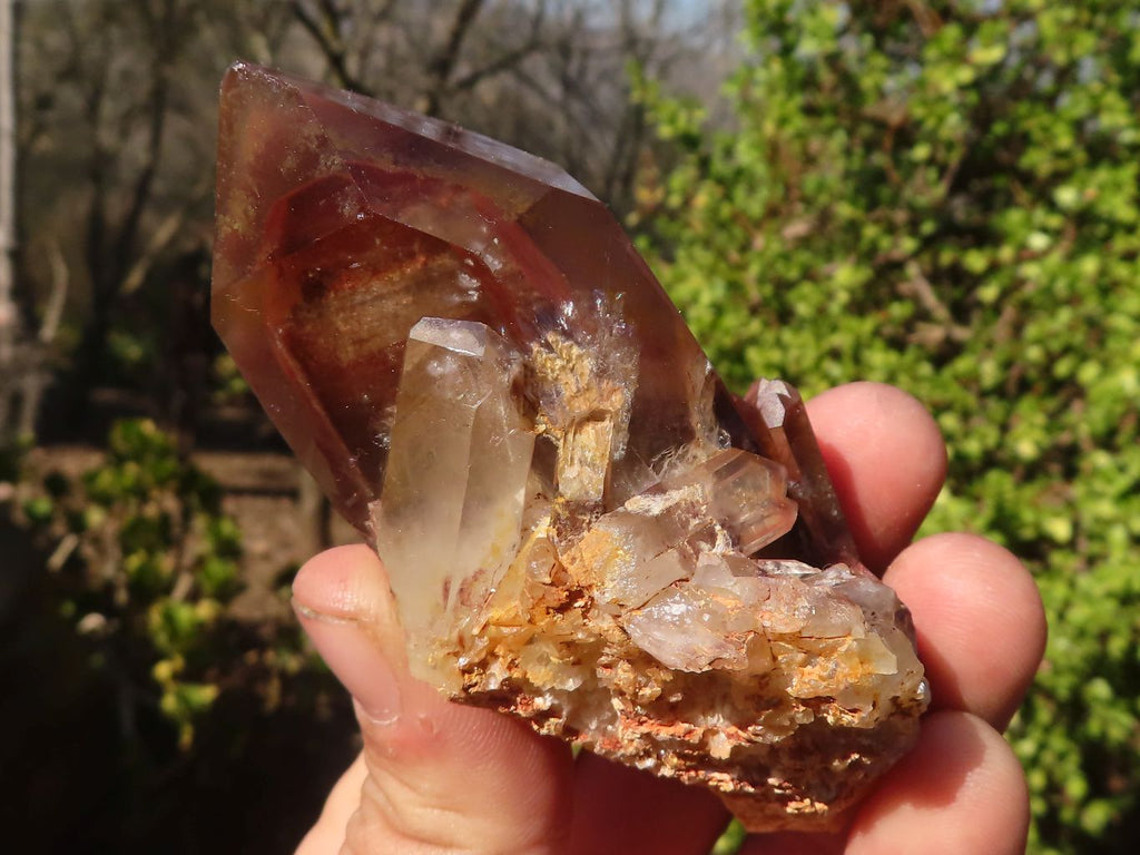 Natural Red Phantom Hematoid Quartz Clusters x 6 From Karoi, Zimbabwe - Toprock Gemstones and Minerals 