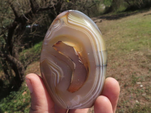 Polished Dendritic & Banded Agate Standing Free Forms  x 6 From Mandrosonoro, Madagascar - TopRock