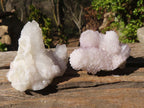 Natural Mixed Spirit Quartz Crystals x 71 From Boekenhouthoek, South Africa - Toprock Gemstones and Minerals 