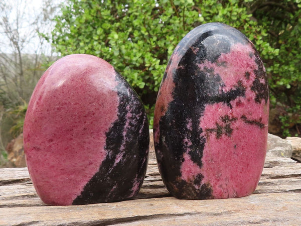Polished Pink Rhodonite Standing Free Forms  x 2 From Madagascar - Toprock Gemstones and Minerals 