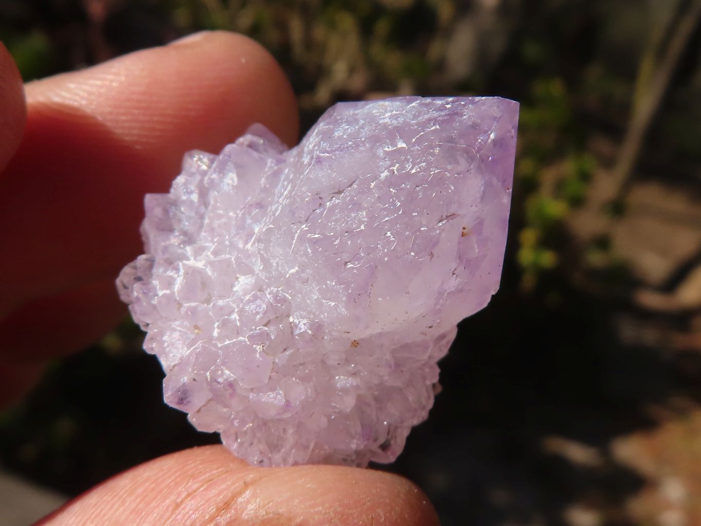 Natural Mixed Spirit Quartz Crystals x 71 From Boekenhouthoek, South Africa - Toprock Gemstones and Minerals 