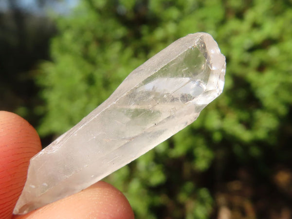 Natural Small Single Quartz Crystals  x 2.1 Kg Lot From Madagascar
