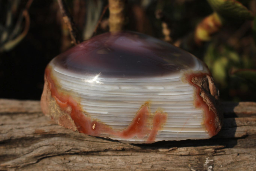Polished Partially Polished Red Sashe River Agate Nodules  x 3 From Limpopo River, Zimbabwe - TopRock