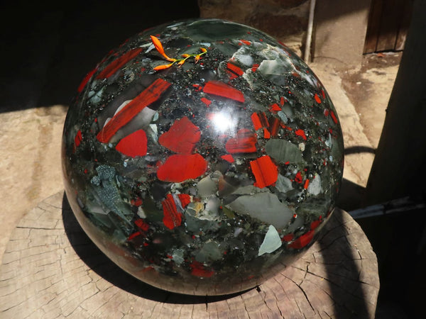 Polished Gigantic Bloodstone Sphere With Golden Pyrite  x 1 From Swaziland - TopRock