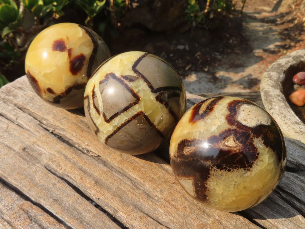 Polished Septaria Spheres x 3 From Madagascar - Toprock Gemstones and Minerals 