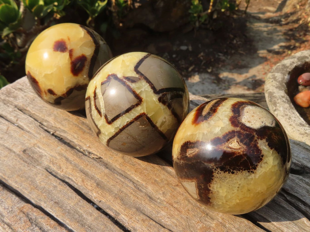Polished Septaria Spheres x 3 From Madagascar - Toprock Gemstones and Minerals 